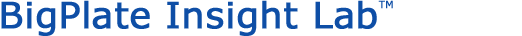 Insight Lab